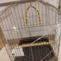 قفس بزرگ ،جادار،همراه باتمام وسایلش
