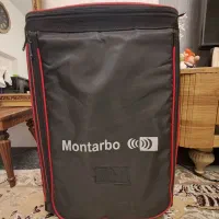 اکو همراه شارژری برین صوت مدل ۳۶۹۵