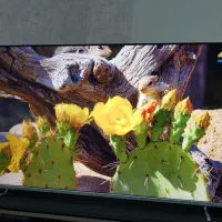 تلویزیون  ۵۰ اینچ صنام 4k