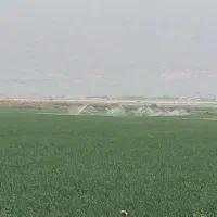 زمین-کشاورزی-و-دامداری