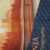 تشک برقی کامیون و اتوبوس