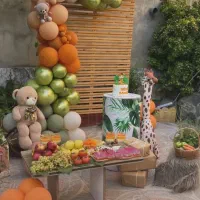 ارزان‌ترین بادکنک آرایی حرفه‌ای در ملایر