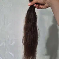 مو طبیعی سالم|آرایشی، بهداشتی، درمانی|رشت, دیانتی|دیوار