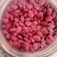 لوبیاقرمزمحلی