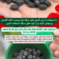 قرص کود ارگانیک اصل