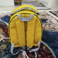 نو نو|لوازم جانبی حیوانات|اسلامشهر, شهرک واوان|دیوار