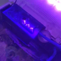 اکواریوم ابشور کامل با ماهی|ماهی|شیراز, ریشمک|دیوار