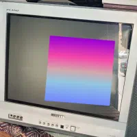 تلوزیون