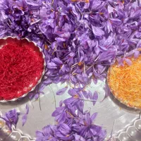 طلای سرخ وامنان صددرصد تضمینی