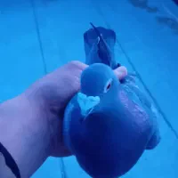 چهارتا یاهو یدونه دوبر