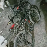 دوچرخه 24 ماکسیما|دوچرخه، اسکیت، اسکوتر|بیرجند, |دیوار