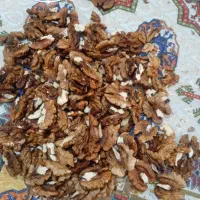 خشکبار گردو مغز گردو|خوردنی و آشامیدنی|باغستان, |دیوار