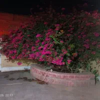 ویلایی ۱۴۰ متر سه خواب