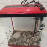 آکواریوم درحد|ماهی|اردبیل, |دیوار