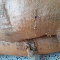 پشم درجه یک گوسفند