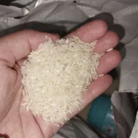 برنج ایرانی مرغوب