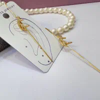 بدلیجات