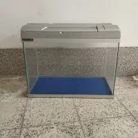 آکواریوم شرکتی