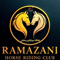 فروش یک راس مادیان کرد اصیل