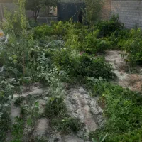 باغ درحوالی چناران دارای ۴۰۰متر مساحت|فروش خانه و ویلا|چناران, |دیوار