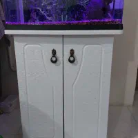 آکواریوم شرکتی ۵۰لیتری کامل|ماهی|هشتگرد, فاز ۱ مهستان|دیوار