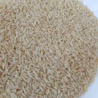 برنج هاشمی خوش پخت 430مقطوع