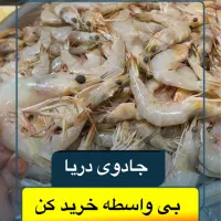 فروش میگو دریایی بندرعباس به صورت آنلاین|خوردنی و آشامیدنی|گرگان, |دیوار