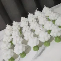 گیفت لاله. شمع لاله