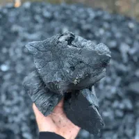 فروش عمده زغال کبابی درجه یک جنگلی