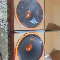 میدرنج سایز 10 اسپید وار