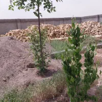 فروش زمین فوری زیر قیمت|فروش زمین و ملک کلنگی|مشهد, درزآب|دیوار