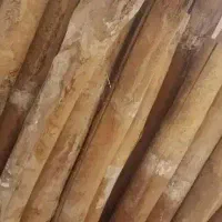 خرید انواع چوب تر و خشک خریدار|خدمات باغبانی و درختکاری|کرمانشاه, |دیوار