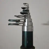 لنسر ماهیگیری