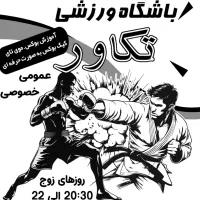 آموزش حرفه ای بوکس و موی تای