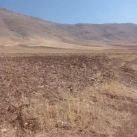 زمین-کشاورزی