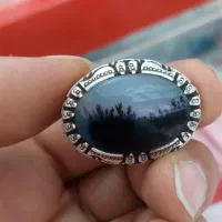 انگشتر شجر قاعن زنجان سوار