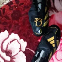 کفش استوک دار|کیف، کفش، کمربند|جهرم, |دیوار