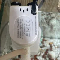 فیلتر تصفیه و هوا|ماهی|نوشین شهر, |دیوار