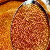 خاکشیر نو کشت امسال