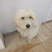 فروش