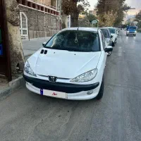 ۲۰۶ فقط باب مصرف کننده