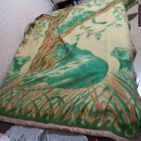 ۲ عدد پتو قدیمی دورو ،سالم و تمیز،دونه ای۴۵۰ تومان|رختخواب، بالش، پتو|بابلسر, |دیوار