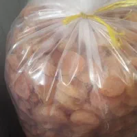 قیصی درجه یک و خوشرنگ