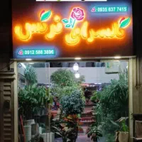 فروشنده (همکارخانم)