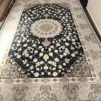 فرش درحد نو|فرش|پیشوا, |دیوار