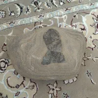 سنگ فسیلی