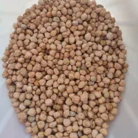 نخود محلی ارگانیک