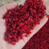 زعفران اصل قاینات.سفیدی زعفران .زرشک پفکی درجه یک|خوردنی و آشامیدنی|اندیشه, اندیشه فاز ۱|دیوار