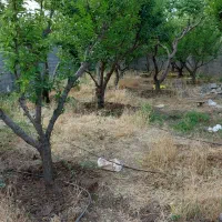 فروش-سهام-زمین-تعاونی-مسکن-دارو-پخش