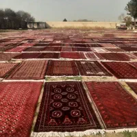 قالیشویی فراز تهران و اسلامشهر|خدمات نظافت|تهران, باشگاه نفت|دیوار